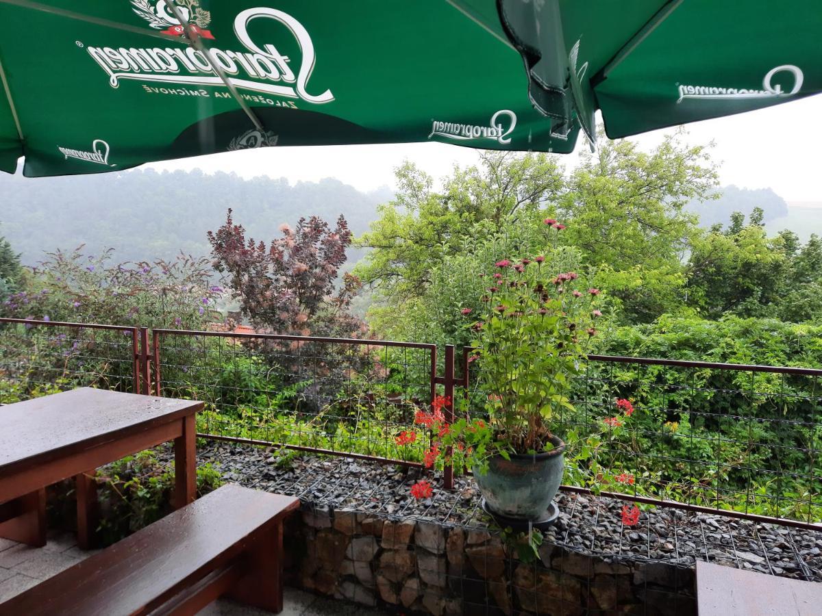 Penzion Zahrada Nad Rekou, Restaurace A Kavarna - Parkovani Gratis Zlata Koruna Экстерьер фото