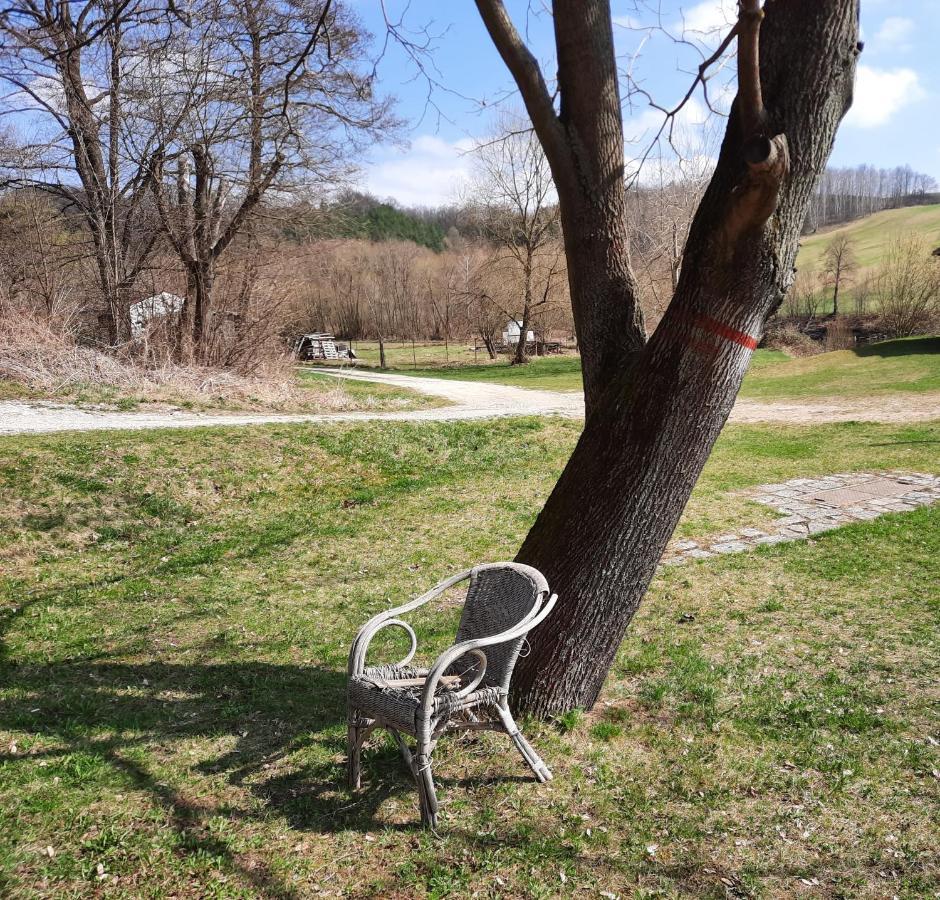 Penzion Zahrada Nad Rekou, Restaurace A Kavarna - Parkovani Gratis Zlata Koruna Экстерьер фото